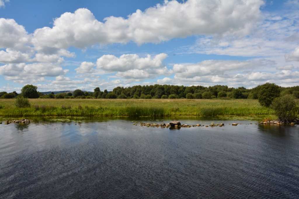 DSC_6034Mittel_.JPG